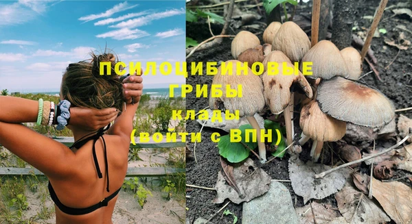 спайс Баксан