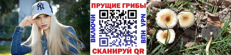 Галлюциногенные грибы мицелий  Игра 